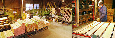 �p���b�g���������@�uVIKING�v �ʐ^