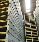 ���T�C�N���E�p���b�g �ʐ^