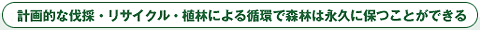 �v��I�Ȕ��́E���T�C�N���E�A�тɂ��z�ŐX�т͉i�v�ɕۂ��Ƃ��ł���
