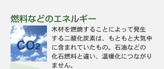 燃料などのエネルギー